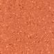 Фото Гомогенний лінолеум Grabo Fortis Coral