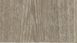 Линолеум Gerflor Taralay Impression Wood 0519 Noma Beige фото 1