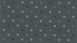 Фото Лінолеум Gerflor Taralay Impression Stars 0744 Anthracite