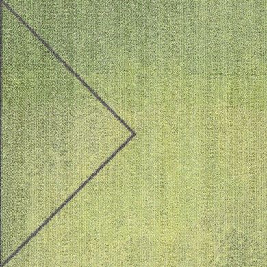 Изображение Коллекция Clerkenwell Triangular Path / Ковровая плитка Milliken, Артикул - TGP118-103-141