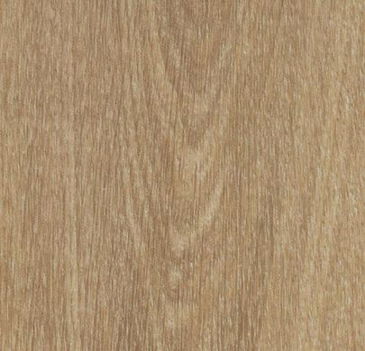 w60284 natural giant oak / Коллекция Allura Wood / Виниловая плитка Forbo